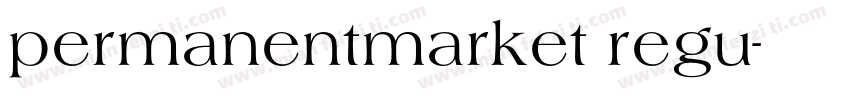 permanentmarket regu字体转换